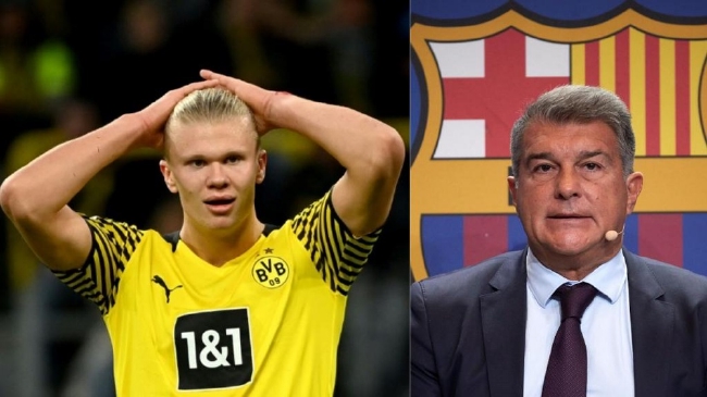 厄德高谈晋级世界杯：这种感觉无法用语言形容，简直疯狂至极（厄德高：晋级世界杯的感觉难以言表，疯狂到极致）